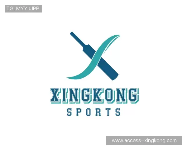 介绍XINGKONG中国官网